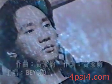 遥望 新艺宝dat格式的mtv